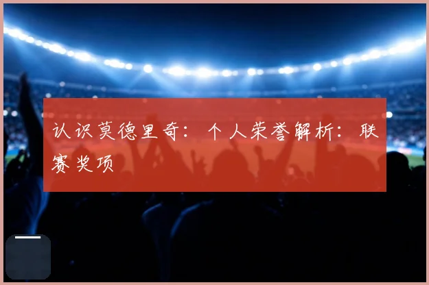认识莫德里奇:个人荣誉解析:联赛奖项