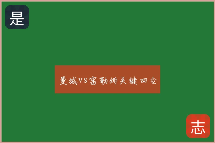 曼城vs富勒姆关键回合